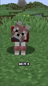 Minecraft wolf armor: hidden texture flaw!