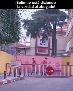 ¡Selim le está diciendo la verdad al abogado! | #Elif en Espanol Capitulo 278 | Elif en Español