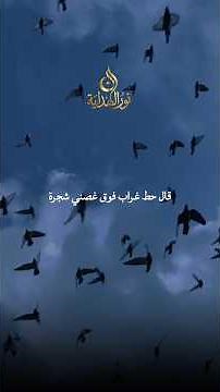 The Crow and the Fox... A Story and a Lesson.... Mabrouk Zaid Al-Khair