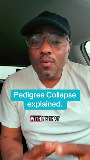 Pedigree collapse explained