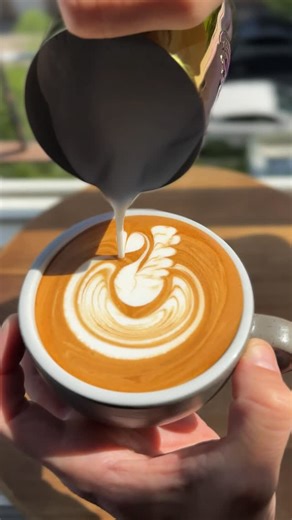 Asaf Rauch - Barista Swag Latte Art on Instagram: "Line swan pour, harder than it looks👇⁠ ⁠ Poured in a single motion.⁠ It looks simple, but it’s one of the hardest patterns to master.⁠ ⁠ Want me to break it down?⁠ ⁠ #latteart #coffee #barista"