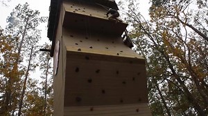 11K views · 257 reactions | We Devil Dog Dare you. … To come and have...