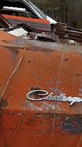 Everyone is posting stuff from 2016, so why not?! My first trip to Stephens Performance in Alabama. It was mind boggling to see row after row of rare Mopar Muscle Cars. I bet they had 100 or more E-bodies out there! #autoarchaeology #dodge #plymouth #mopar #junkyard | The Auto Archaeologist