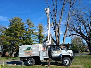 Cross Cut Tree Service DOES IT AGAIN!