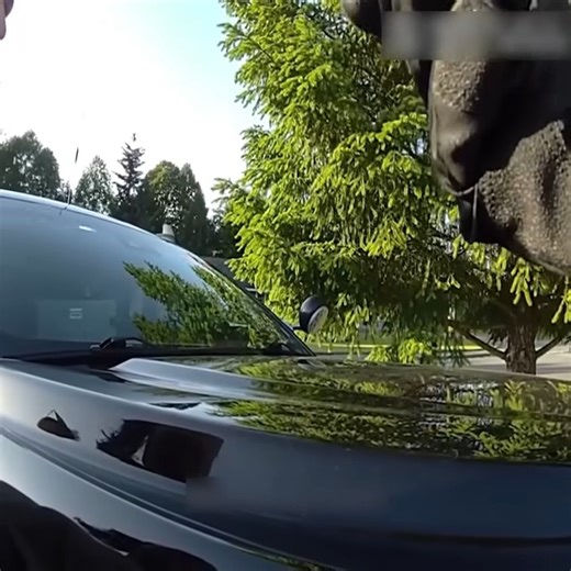 Karen’s McDonald’s Meltdown Ends in Arrest 🍟🚓 Officers in Washington were called after a woman at the McDonald’s drive-thru went on an unhinged rant against staff. What started as a fast-food complaint quickly spiraled into a police encou~ | Bodycam Activities