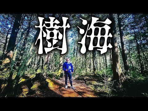【秘境】富士の樹海に”ガチ”で行ってみた！1泊2日の旅