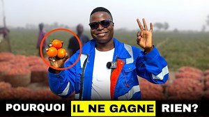 279K views · 10K reactions | Voici comment vendre plus cher tes récoltes agricoles au pays! #Vendre #Cher #Récolte | Agriculteurs Modernes | Facebook