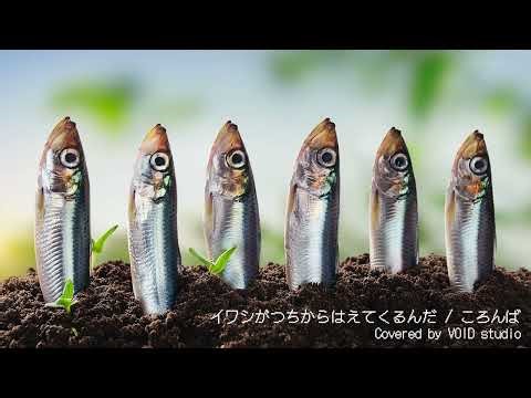 イワシがつちからはえてくるんだをバンドっぽくカバーしたんだ