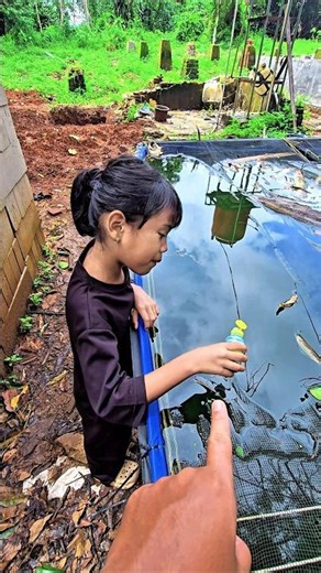 Izza, don't give coloring to the catfish pond #trending #trendingshorts