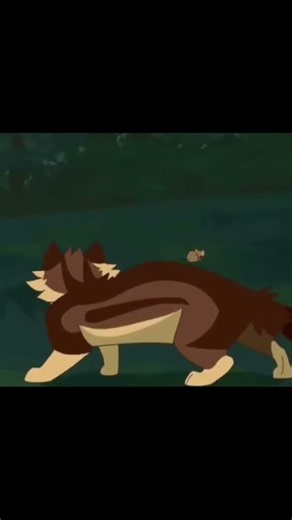 Soturikissat | Tiikeritähti (2)🐯 #warriorcats #cat #warriors #edit