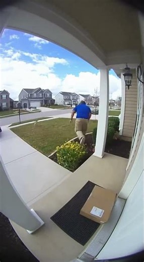 Porch Cam – Delivery Guy Drops Package and Gets Chased by Dog