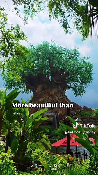 But Mostly Disney on TikTok