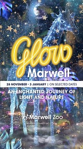 58K views · 69 reactions | Our magical light trail is back this winter! Your ticket also includes FREE entry to the zoo during the day 漣 Upgrade your visit with a Santa's grotto experience  Tickets are sure to sell quickly - reserve your preferred date now! | Marwell Wildlife | Facebook