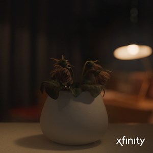 1.3K reactions · 198 shares | Something magical is coming this holiday season. | Xfinity | Facebook