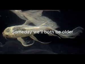 Mars Argo - using you (lyrics)