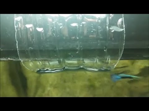 simple ways to reduce aquarium filter flow rate/ How to slow down current from a fliter