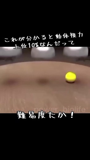 動体視力トレーニングの魅力と情報