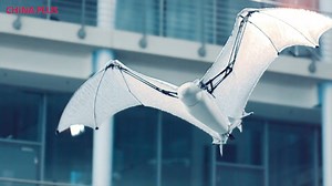 41K views · 415 reactions | A bat flies, so do a dragonfly and butterflies, a shark and fish swim... but these animals are special. They're robots. Check out how the bio-robots performed during the undergoing World Robot Conference 2018 in Beijing. | China Plus America | Facebook