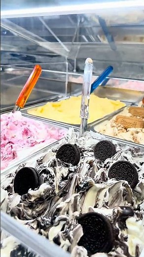 Ice Cream Business Startup