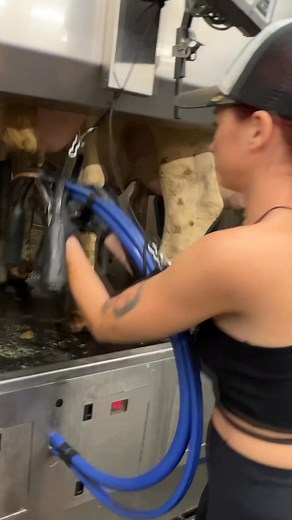45K views · 646 reactions | Modern Milking Techniques on American Dairy Farm | Jason & McGrath | Facebook