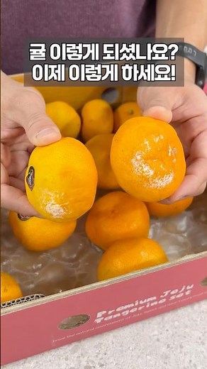 Tangerine storage method summarized in one place🍊🧡 #TangerineStorage #Tangerine #Tangerine #JejuT...