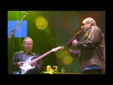 Steely Dan Do It Again