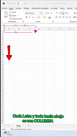 2.2K views · 13 reactions | Cuales son las partes de #Excel #facilyrapido #jcapps #Microsoft | Excel Facil y Rapido | Facebook