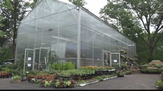 Yelp says these St. Louis businesses are among the top 100 local businesses in the country