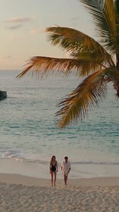 Curated experiences. Crystal waters. Endless days. From tranquil mornings with ocean views to immersive adventures on land and sea, summer at The Cove is a seamless blend of indulgence and inspiration. Every moment is yours to define—and every experience, designed to delight. Book your summer stay and experience it firsthand via the link in our bio. #TheCoveAtlantis #ParadisePerfected | The Cove Atlantis