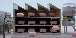 Organic Fast Food Campaigns