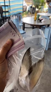 今天四位顾客上门取刺客鱼🫶 两位没有遇见我 我没有拍到😂 总之 🥰我谢谢所有老扳老板娘的支持🥰🥰🥰 1.2kg-1.5kg 1.8kg-2kg 我们在大港 也可以全西马和新加坡冷冻邮寄🤞 0133709111 📍LAKSA KING SUNGAI BESAR NO 4 JALAN 4 BAGAN SUNGAI BESAR 45300 SUNGAI BESAR SELANGOR | Yinyin Cheah