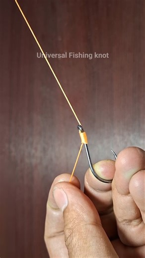 Fishing knot skills 2025 #993 #gtknot #palomar #loop