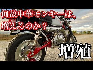 中華モンキーを増やした話 第六號