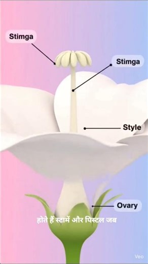 How Do Plants Reproduce? 🌱| 60 Seconds Biology Explained By 3D Animation #PlantReproduction #Biology