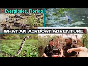 Thrilling Airboat Ride with Alligators in Everglades, Florida | Airboat Adventures Trip in Nature