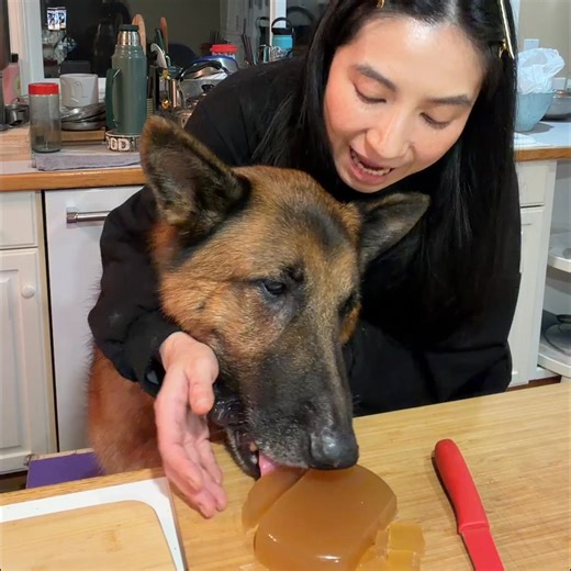 Chewy Pharmacy has you covered. We offer quality pet meds at great prices every day! | Meet The Chows