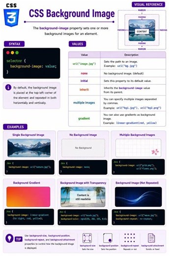 CSS Background Image Property Explained 🔥 #shorts #css #backgroundimage #html #frontend #cssshorts