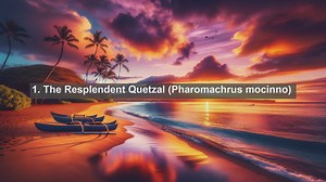 Top 10 native animals in El Salvador