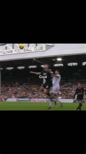 The script has been written see you in the championship 👋🏽 #fyp #tottenhamhotspur #viral #robbed