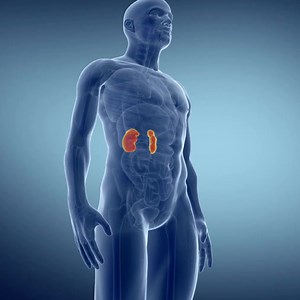 Centre de transplantation hépatique La transplantation hépatique est une procédure consistant à transplanter un foie sain d'une personne en bonne santé à un patient souffrant d'une insuffisance hépatique. En cas d'insuffisance hépatique, une personne peut également le découvrir par auto-évaluation. Les symptômes tels que la fatigue persistante, des problèmes d'appétit, des changements de couleur de la peau, des nausées et des démangeaisons sont des signes qui se manifestent en cas d'insuffisance