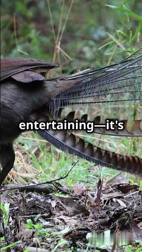 The Most Amazing Mimic In Nature