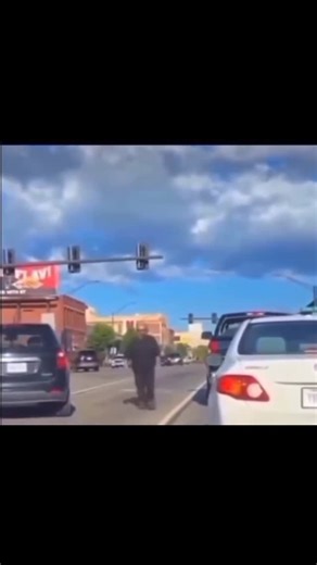 𝗟𝗢𝗡𝗘 𝗥𝗘𝗔𝗣𝗘𝗥 | 𝟬𝟭.𝟮𝟭.𝟮𝟲 on Instagram: "Trees in the forest are actually talking to each other via an “Underground Internet.” 🌳 Known as the “Wood Wide Web,” this network is made of tiny fungal threads. Trees use it to swap nutrients and warn each other about predators. If one tree is attacked by bugs, it sends a chemical SOS so neighbors can prep their defenses. Older “Mother Trees” even send sugar to younger, weaker saplings to help them survive. Nature is far more connected tha