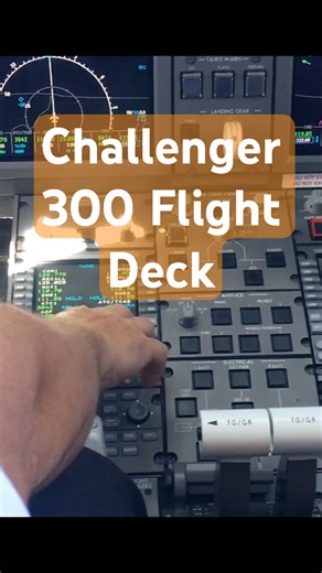 Inflight Cockpit Tour With Goldendoodle In The Bombardier Challenger 300