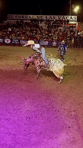 Exciting Bull Riding at Kraken Rodeo Event