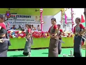 YOUNG TIGER Live Stream