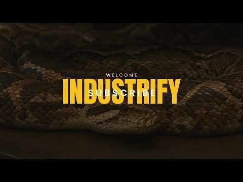 Inside the Python Factory and FULL compilation 24/7