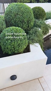 2.1K views | Every garden feels different once water becomes part of its design. It softens structure, reflects light and anchors the landscape, a simple gesture that brings depth, balance and calm to the architecture around it.  Brighton Design @mintdesignau Landscape @landart_landscapes Home @zenoentity_architects | MINT Pool + Landscape Design | Facebook