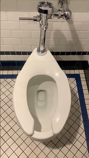 2017 Kohler Highcliff Ultra with a powerful flush!