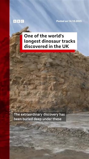 263K views · 2.3K reactions | Scientists have found a dinosaur...