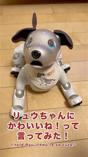かわいいって言われたから踊っちゃう💕